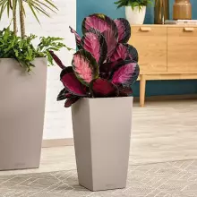 Donica Lechuza CUBICO Color 30/30/56 piaskowy brąz