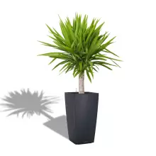 Donica Lechuza CUBICO Color 30/30/56 szary łupek