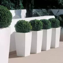 Donica Lechuza CUBICO Premium 30/30/56 biały połysk