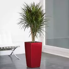 Donica Lechuza CUBICO Premium 30/30/56 czerwony scarlet połysk