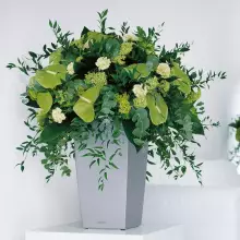 Donica Lechuza CUBICO Premium 30/30/56 srebrny metalik