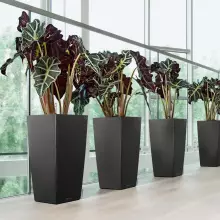 Donica Lechuza CUBICO Premium 40/40/75 antracyt metalik