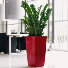 Donica Lechuza CUBICO Premium 50/50/95 czerwony scarlet połysk