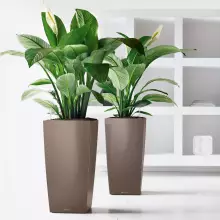 Donica Lechuza CUBICO Premium 50/50/95 taupe-szarobrązowy połysk