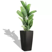 Donica Lechuza CUBICO Premium 40/40/75 czarny połysk