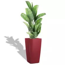 Donica Lechuza CUBICO Premium 40/40/75 czerwony scarlet połysk