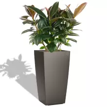 Donica Lechuza CUBICO Premium 50/50/95 antracyt metalik