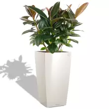 Donica Lechuza CUBICO Premium 50/50/95 biały połysk