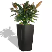 Donica Lechuza CUBICO Premium 50/50/95 czarny połysk