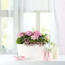 Doniczka Lechuza DELTA 10 30/11/13 biały połysk