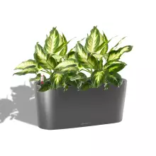 Doniczka Lechuza DELTA 20 40/15/18 antracyt