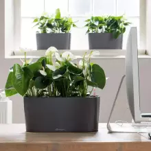 Doniczka Lechuza DELTA 10 30/11/13 antracyt