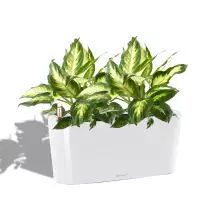 Doniczka Lechuza DELTA 20 40/15/18 biały połysk