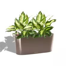 Doniczka Lechuza DELTA 20 40/15/18 muszkatołowy brąz