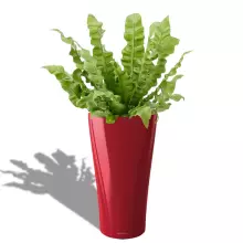 Donica Lechuza DELTA 30/56 czerwony scarlet połysk