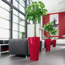 Donica Lechuza DELTA 40/75 czerwony scarlet połysk