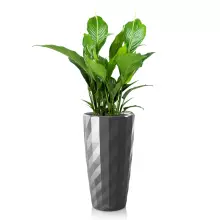 Donica Lechuza DIAMANTE 40/75 antracyt połysk