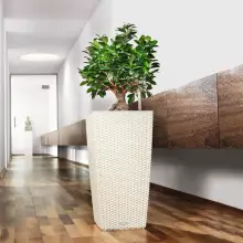 Doniczka Lechuza CUBICO Cottage 30/30/56 biały