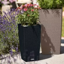 Doniczka Lechuza CUBICO Cottage 30/30/56 grafitowy czarny