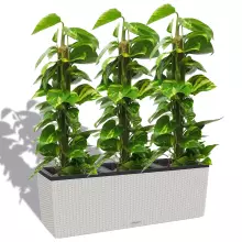 Donica Lechuza TRIO Cottage 30 jasny szary