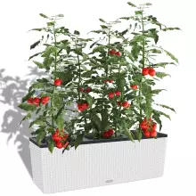 Donica Lechuza TRIO Cottage 40 biały