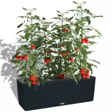 Donica Lechuza TRIO Cottage 40 grafitowy czarny