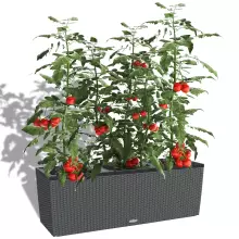 Donica Lechuza TRIO Cottage 40 granit