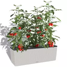 Donica Lechuza TRIO Cottage 40 jasny szary