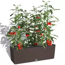 Donica Lechuza TRIO Cottage 40 mokka