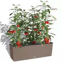 Donica Lechuza TRIO Cottage 40 piaskowy brąz