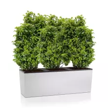 Donica Lechuza TRIO Stone 40 biały kwarcowy