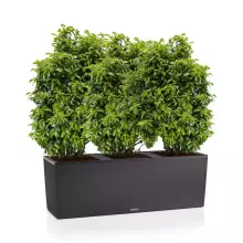 Donica Lechuza TRIO Stone 40 grafitowy czarny