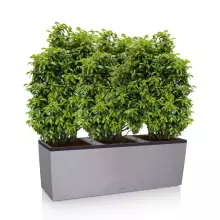 Donica Lechuza TRIO Stone 40 szary kamień