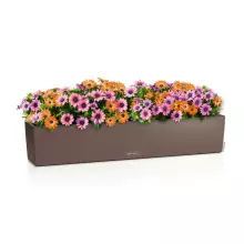 Doniczka Lechuza BALCONERA Color 100 muszkatołowy brąz