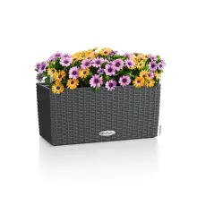 Doniczka Lechuza BALCONERA Cottage 40 granit