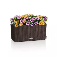 Doniczka Lechuza BALCONERA Cottage 40 mokka