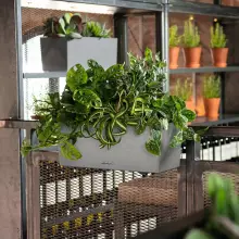 Donica Lechuza BALCONERA Stone 40 szary kamień