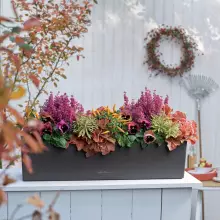 Doniczka Lechuza BALCONERA Color 80 szary łupek