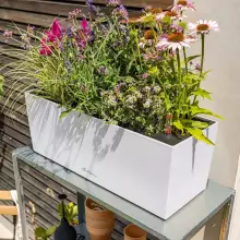 Donica Lechuza BALCONERA Stone 50 biały kwarcowy