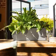 Donica Lechuza BALCONERA Stone 50 szary kamień