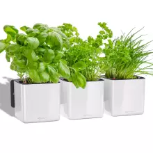 Doniczka ścienna Lechuza CUBE Glossy Home Kit biały połysk