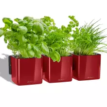 Doniczka ścienna Lechuza CUBE Glossy Home Kit czerwony scarlet połysk