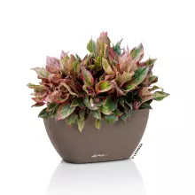 Doniczka Lechuza NAVIO Color 10 muszkatołowy brąz