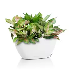 Doniczka Lechuza NAVIO Color 20 biały