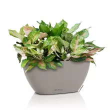 Doniczka Lechuza NAVIO Color 20 piaskowy brąz