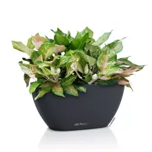 Doniczka Lechuza NAVIO Color 20 szary łupek