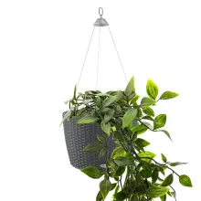 Donica Lechuza NIDO Cottage 35 granit