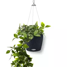 Doniczka Lechuza NIDO Cottage 28 grafitowy czarny