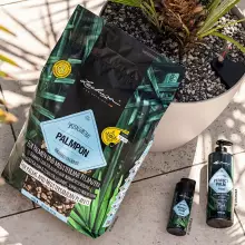 Nawóz w płynie Lechuza Perfect Palm Fluid 475 ml