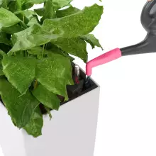 Nasadka na konewkę Lechuza PICO landrynkowy